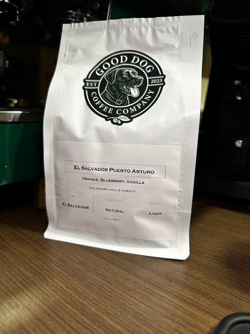 El Salvador | Puerto Arturo