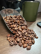 El Salvador | Puerto Arturo